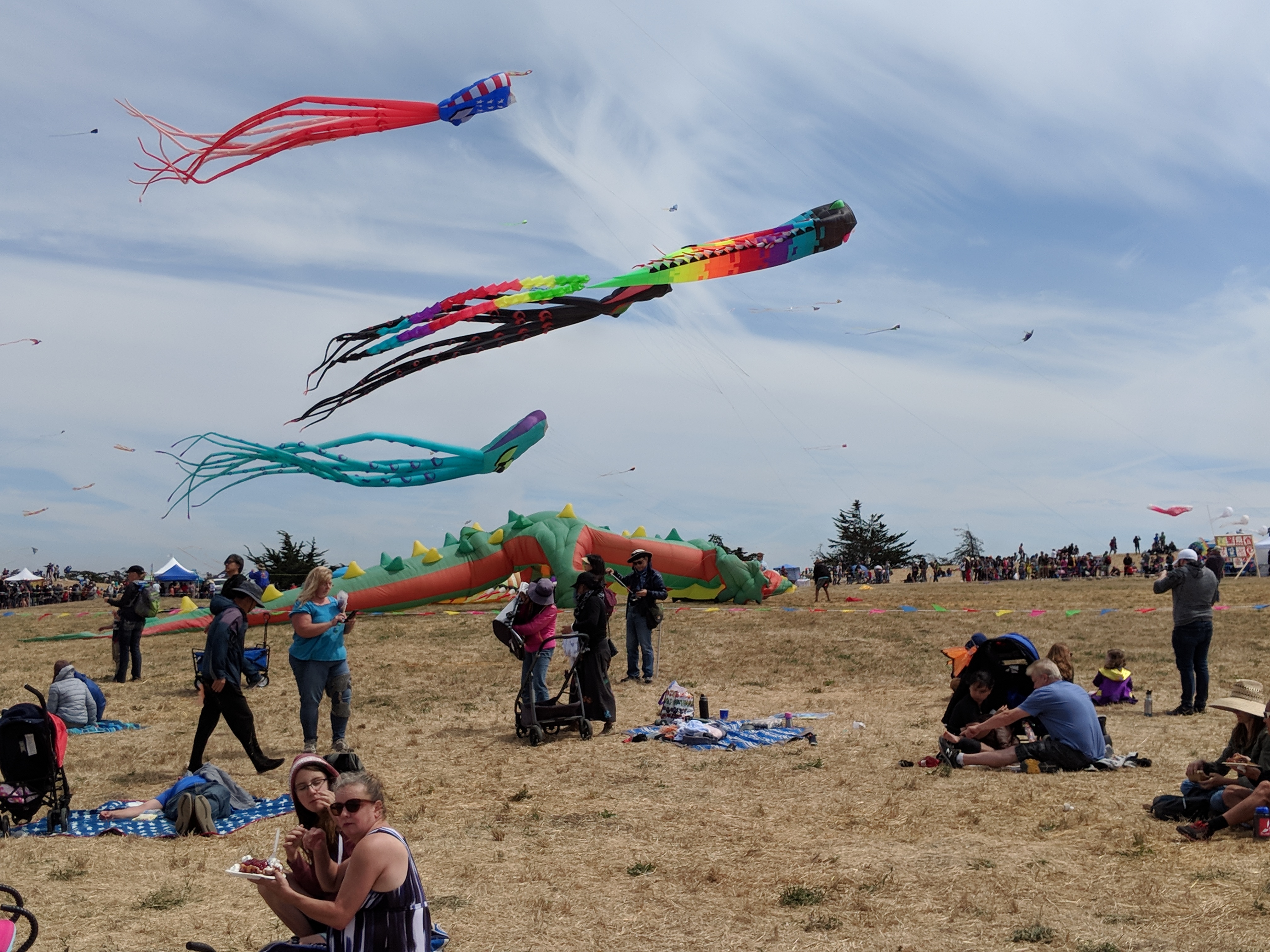 kite